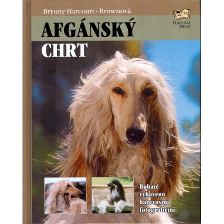 Afgánský chrt