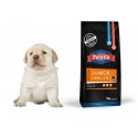 PETVITA Junior Medium Duck